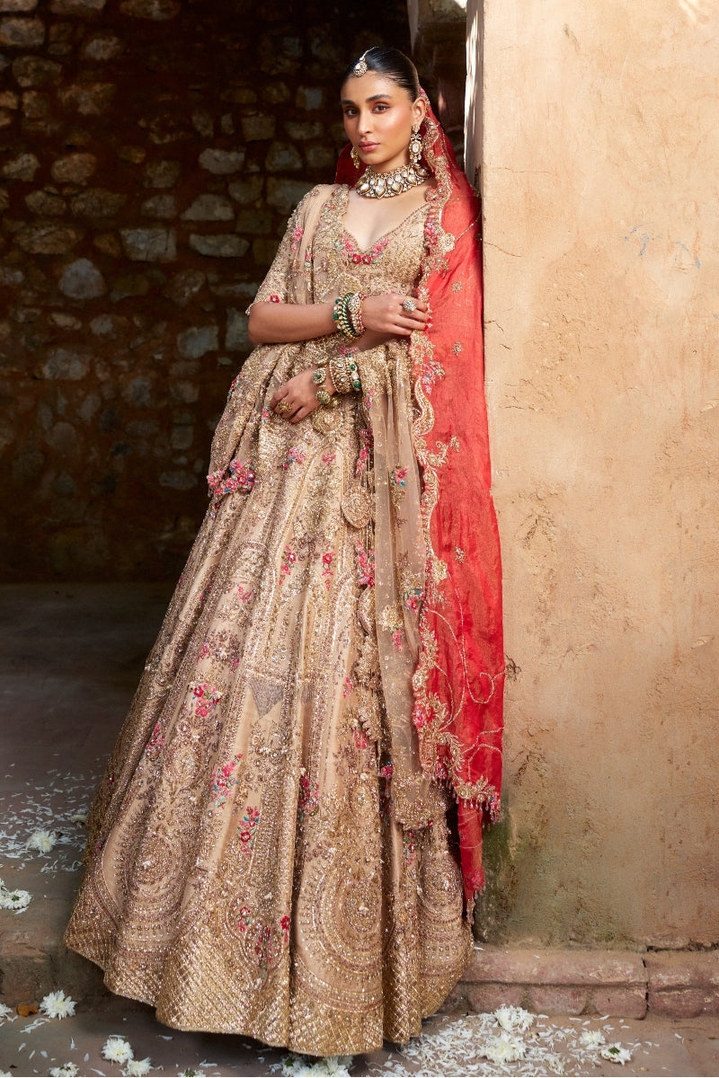 Saiee Manjerkar x Dolly J