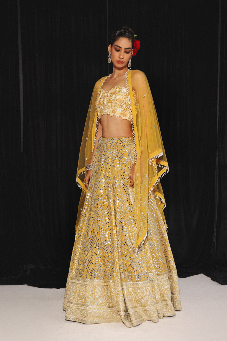 CHIKANKARI MIRRORWORK BOX PLEAT LEHENGA SET