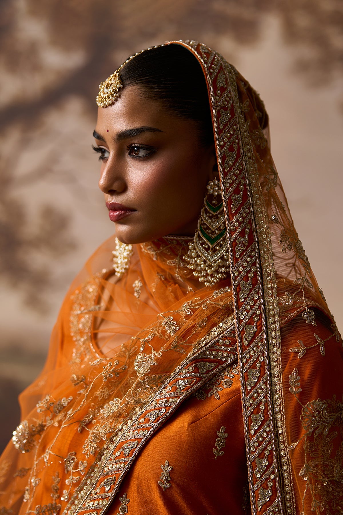 Roshni