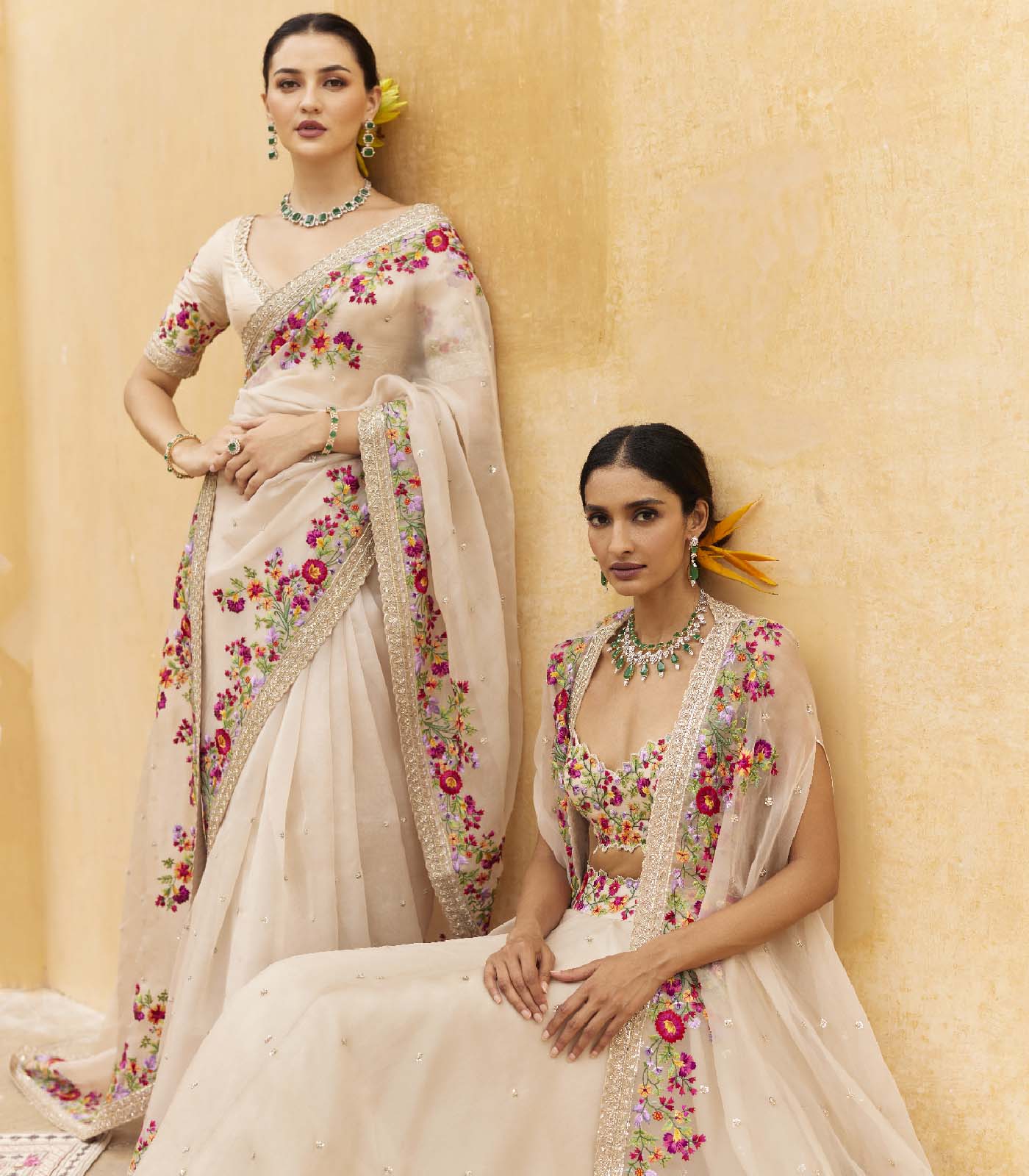 ZARDOZI BORDER SAREE SET