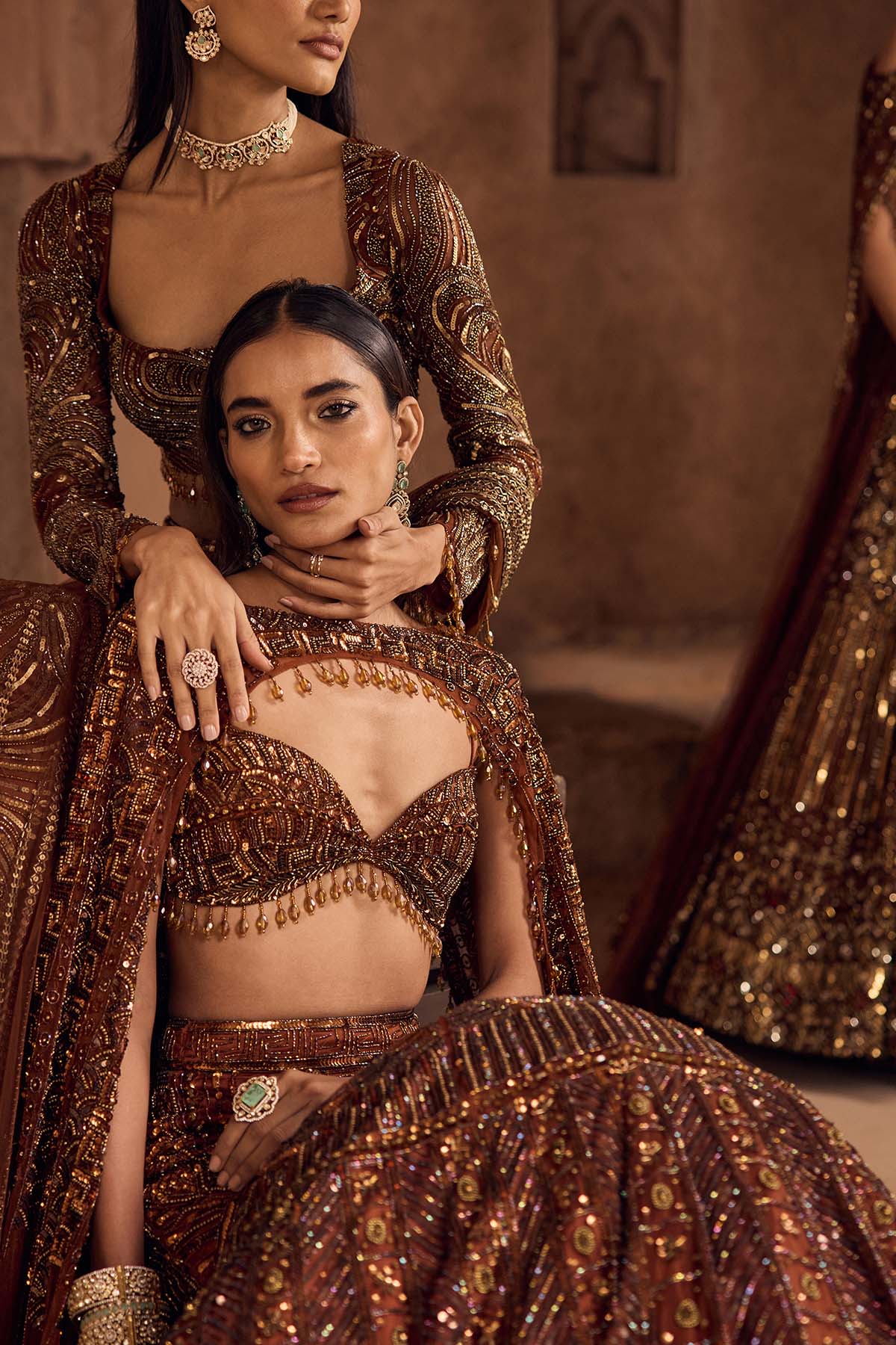 Caramel Brown Fully Embroidered Mermaid Trailskirt Set