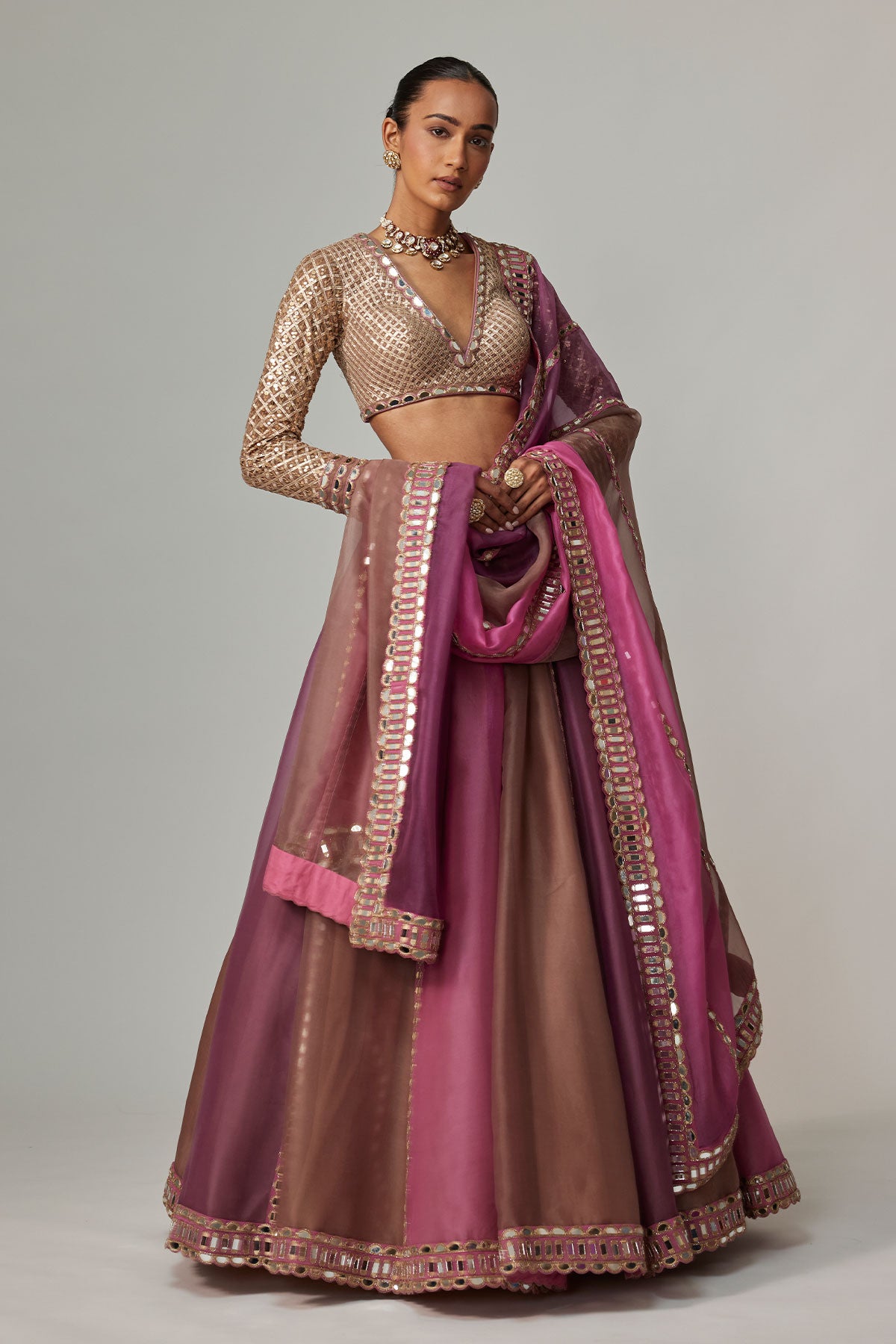 Mud Mauve Multicolor Lehenga With V Neck Blouse