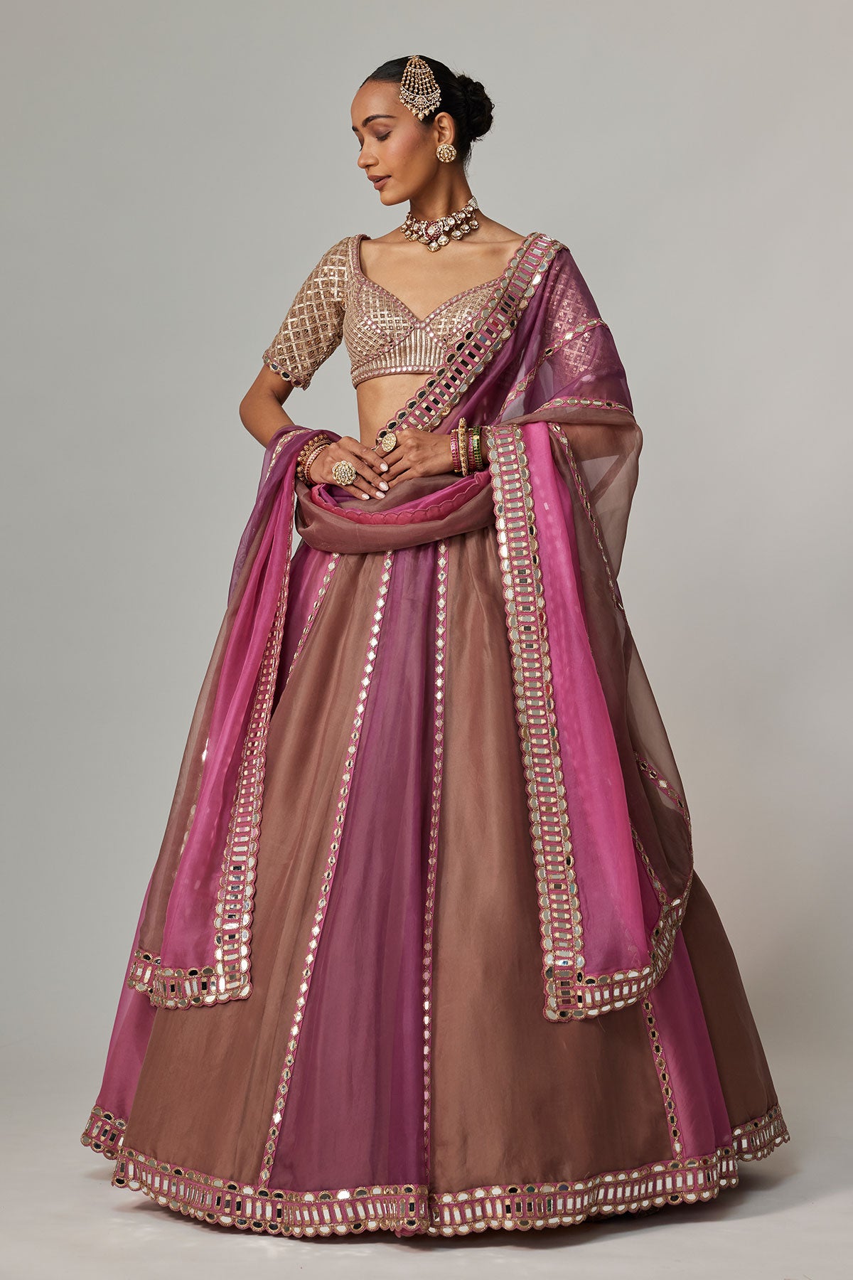 Mud Mauve Multicolor Lehenga With Elbow Sleeve Blouse