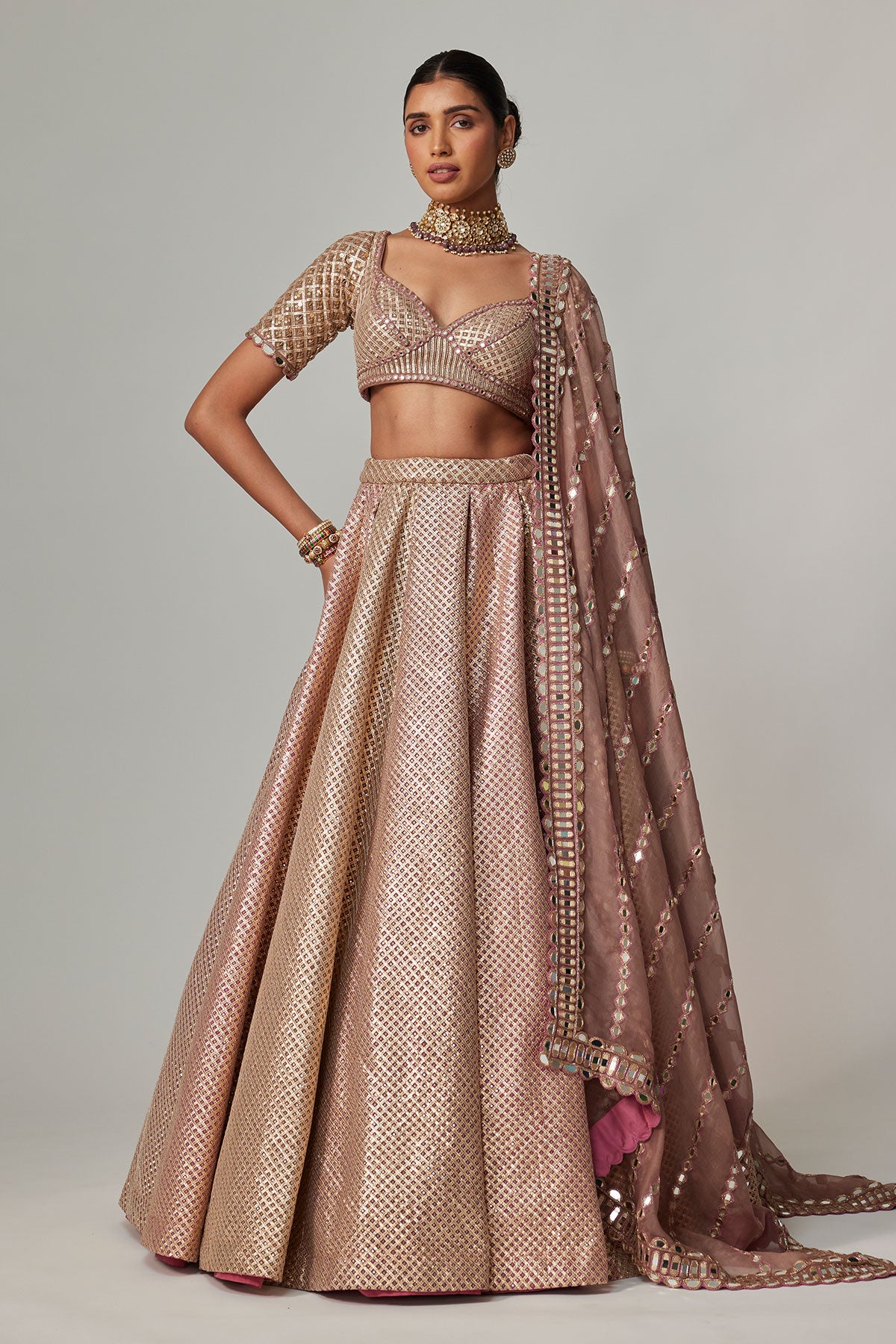Deep Beige Multicolor Mettalic Lehenga Set
