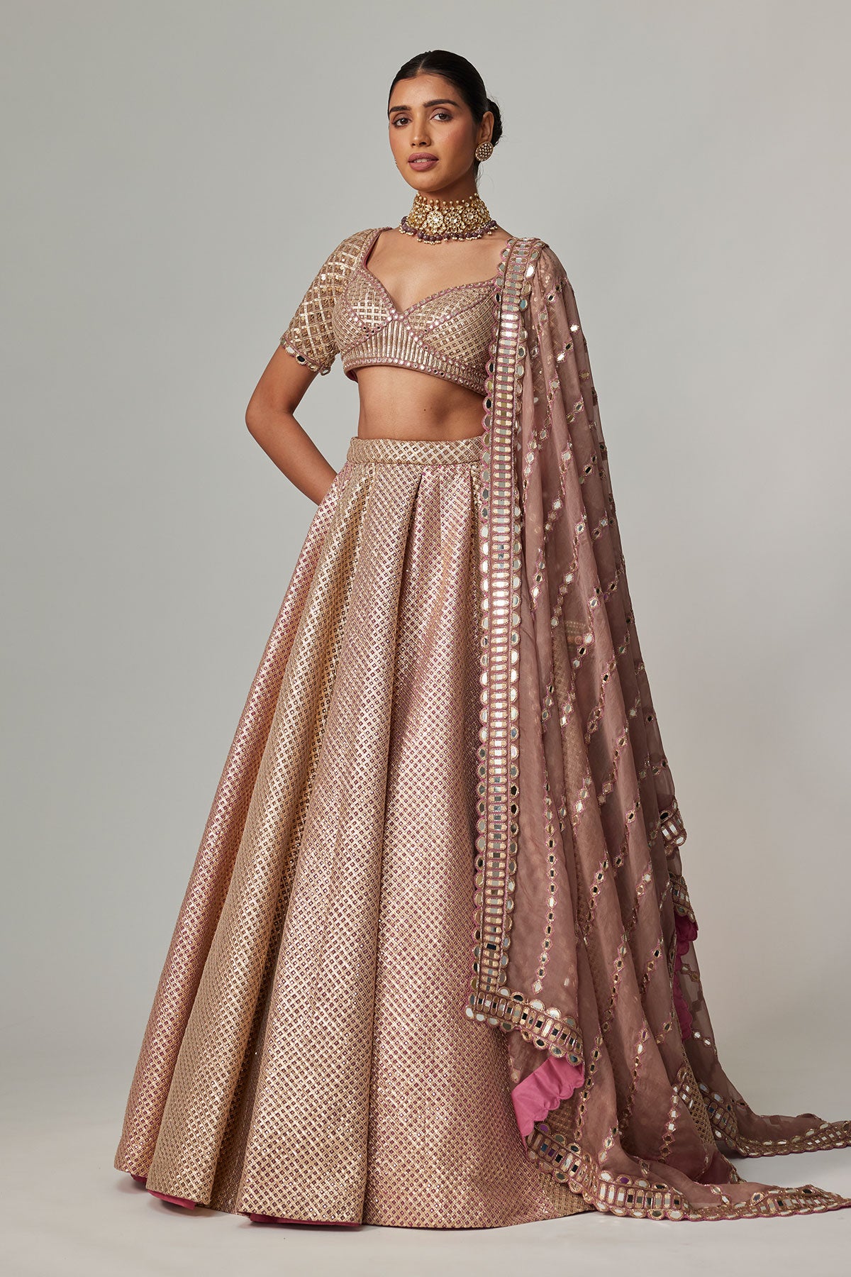 Deep Beige Multicolor Mettalic Lehenga Set