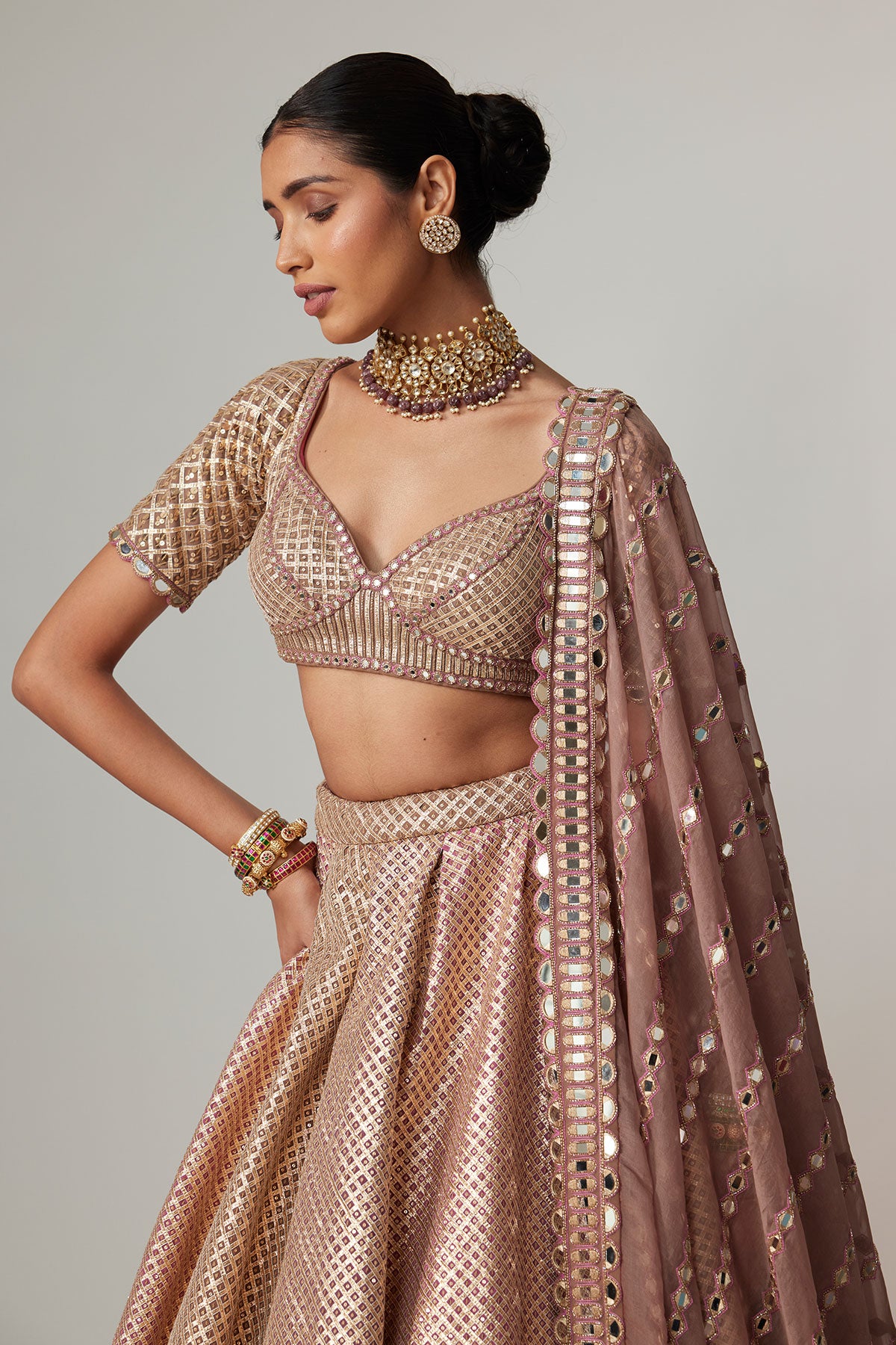 Deep Beige Multicolor Mettalic Lehenga Set