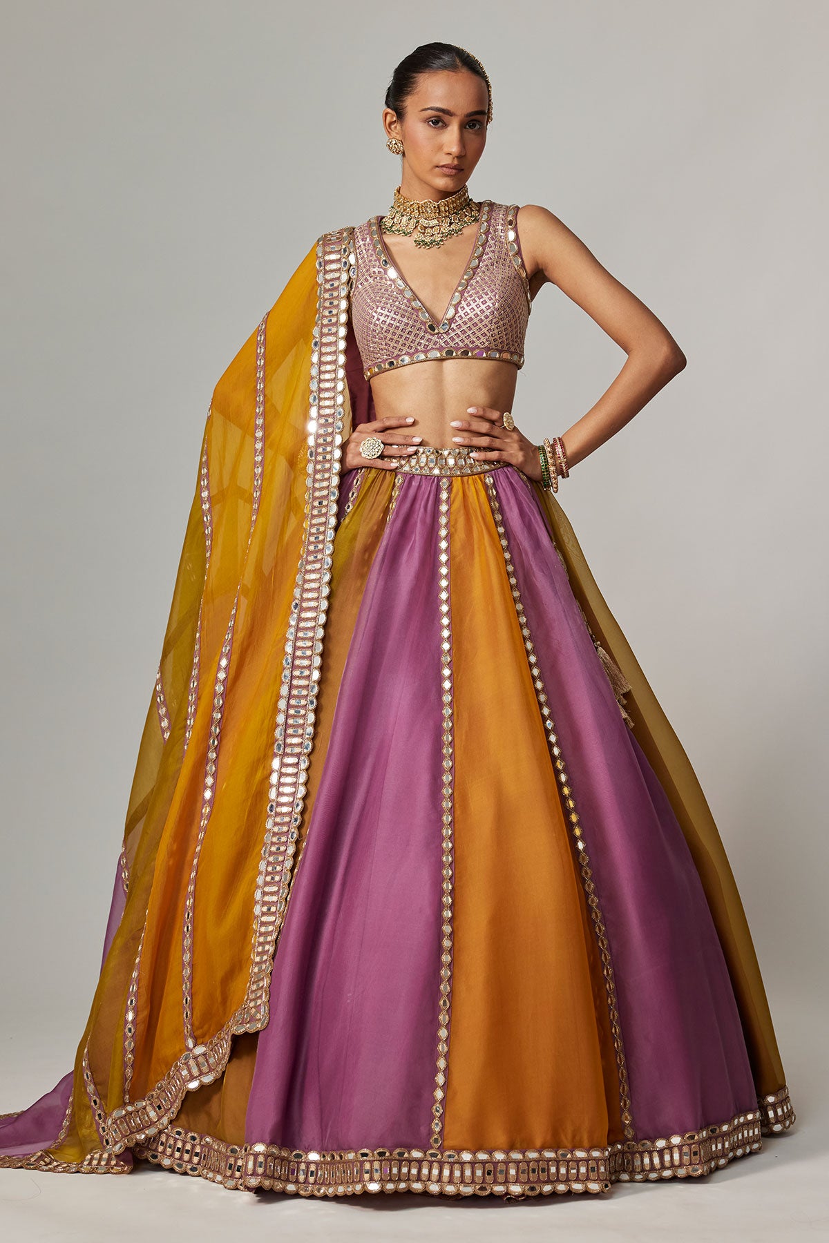 Mustard Multicolor Linear Lehenga With V Neck Blouse