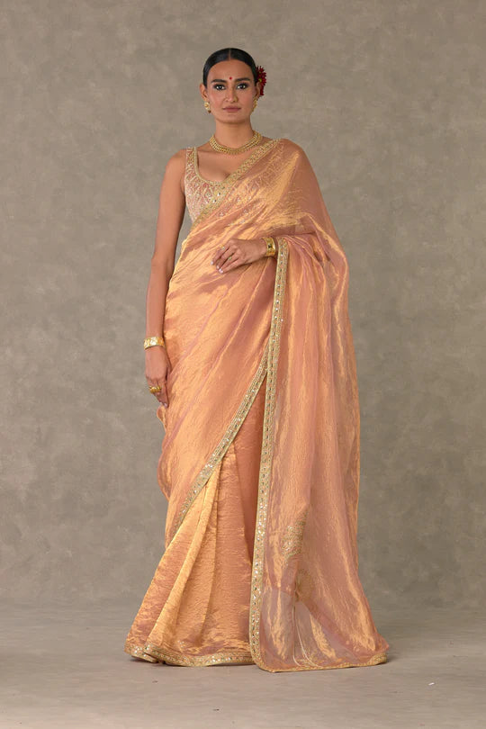 Shahi Tukda Tissue Saree w/ Blouse Piece