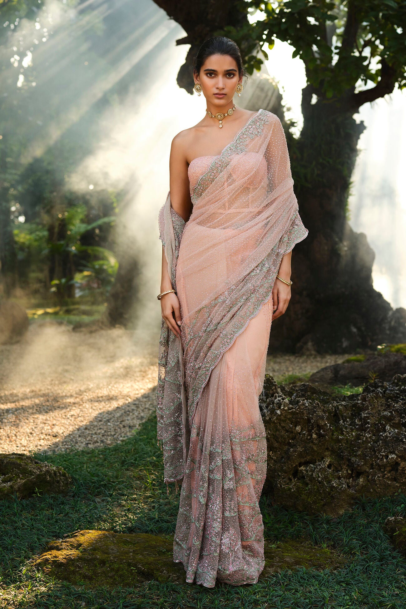 Roseway Embroidered Saree - Blush