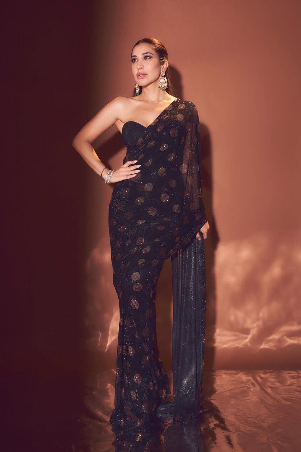 Sophie Choudry in Dottie Saree Set