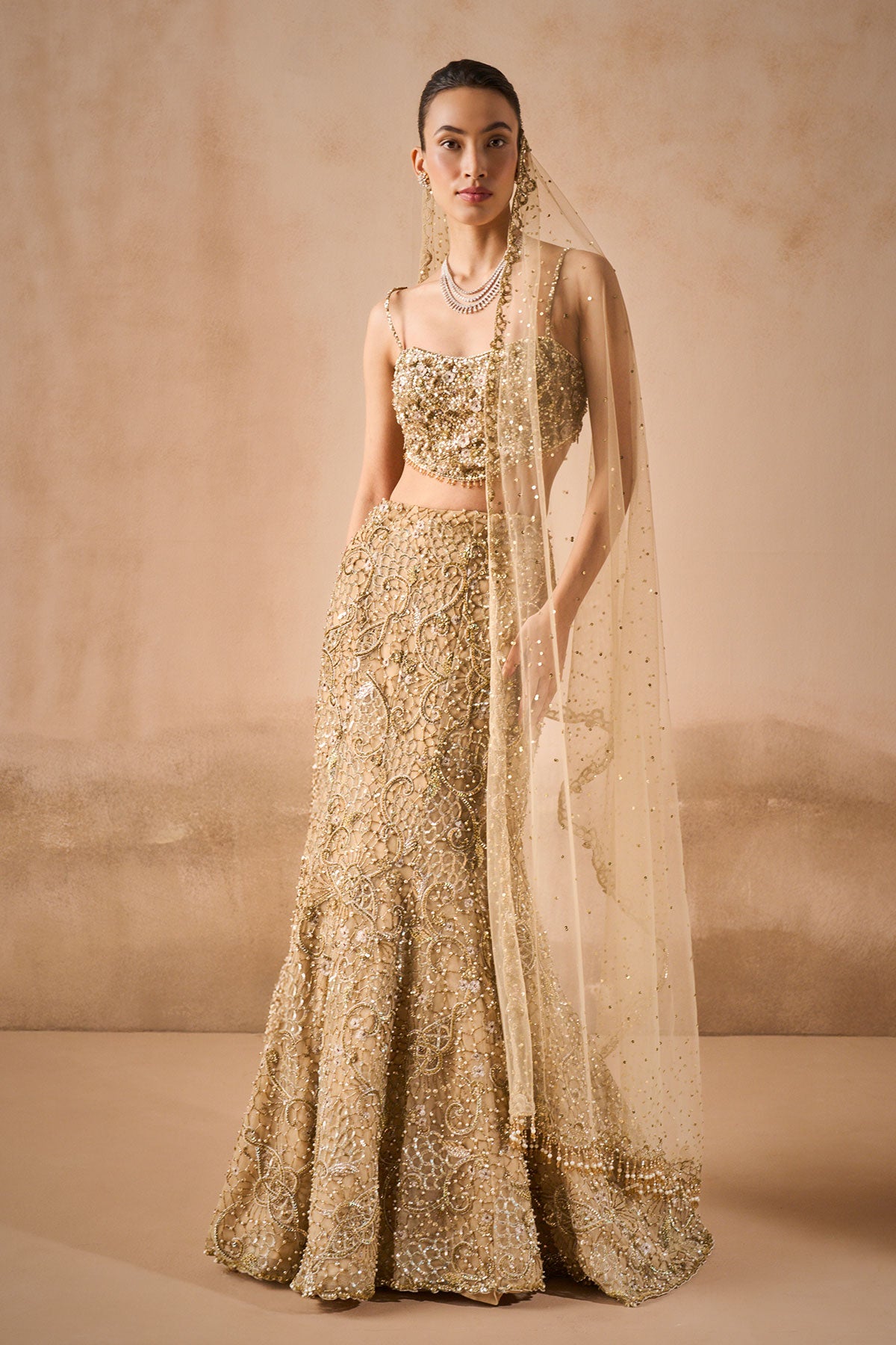 Beige Gold Sparkle Tulle Fit And Flare Lehenga Set
