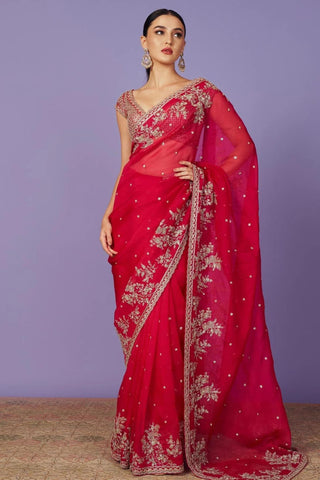 Blush Embroidered Saree Gown