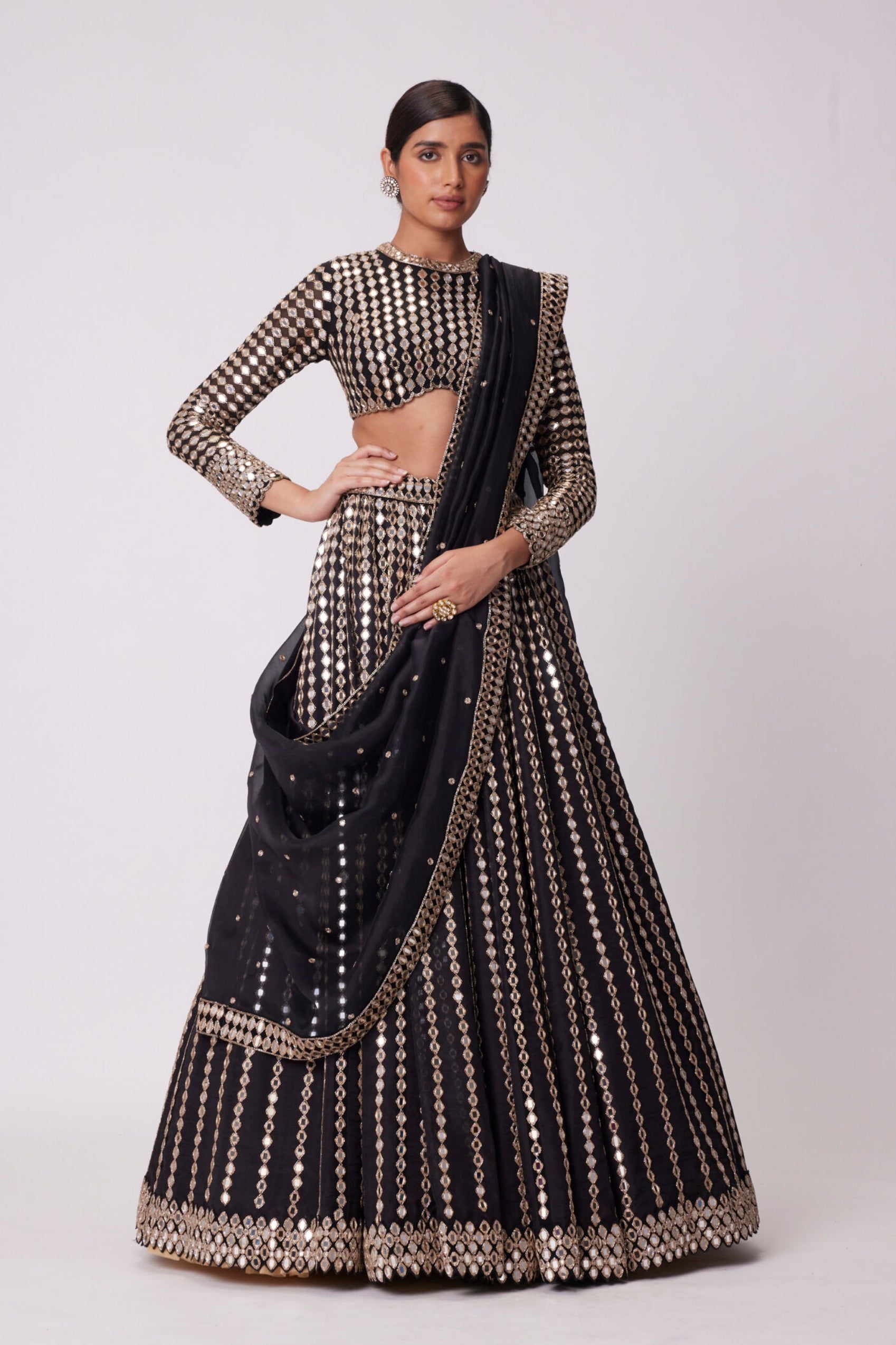 Black Linear Mirror Embroidered Organza Lehenga Set