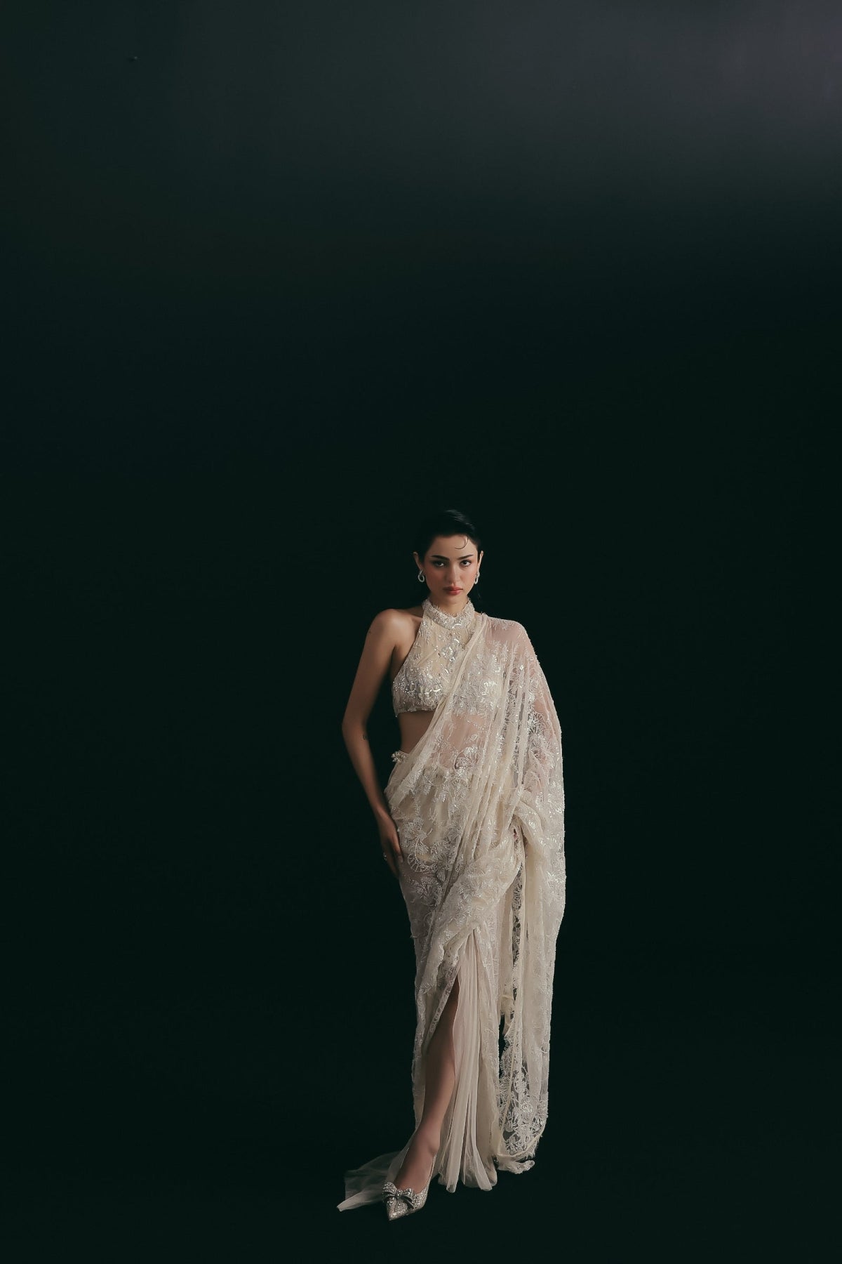 Icing on the Lace Draped Sari