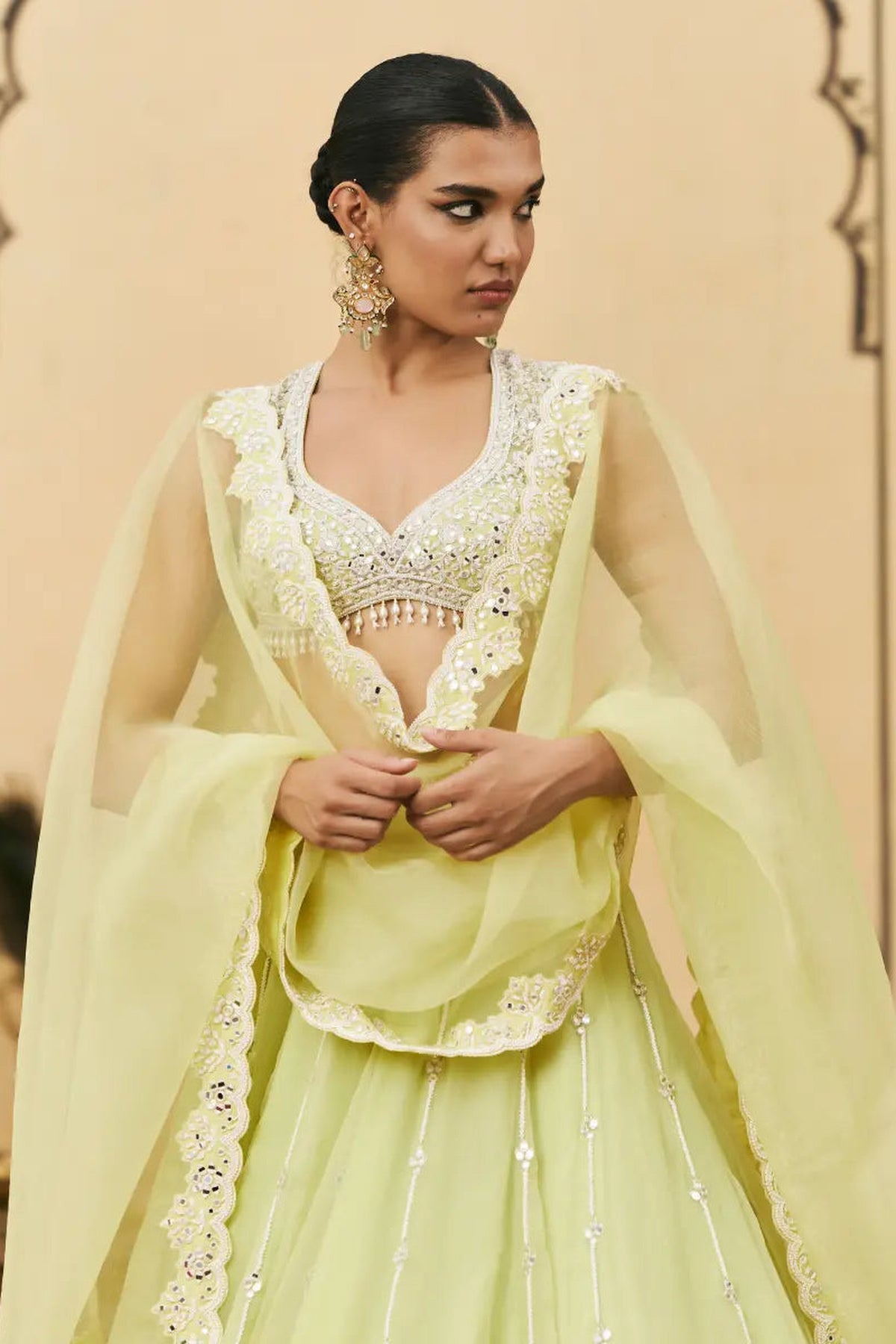 Pudina Organza Lehenga Set