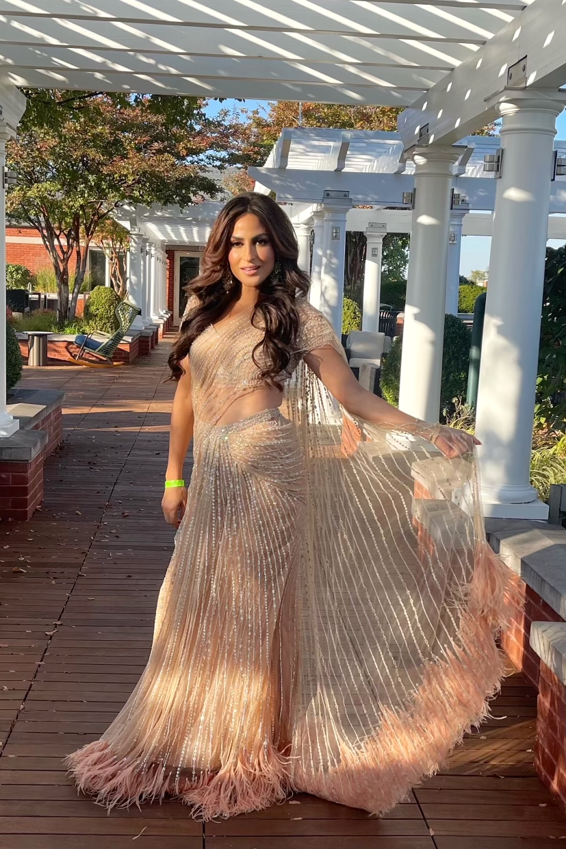 Blush Embroidered Saree Gown