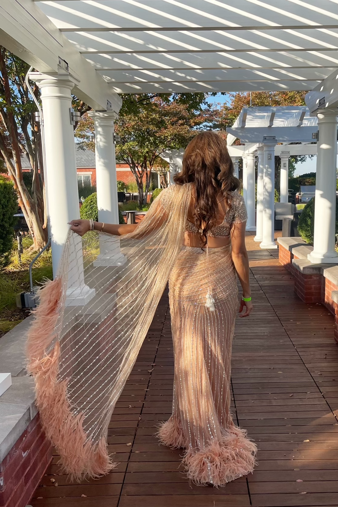 Blush Embroidered Saree Gown