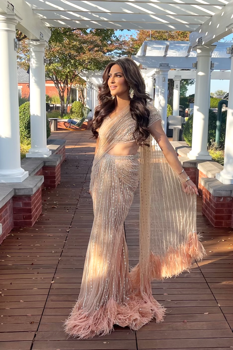 Blush Embroidered Saree Gown 2 / Tall