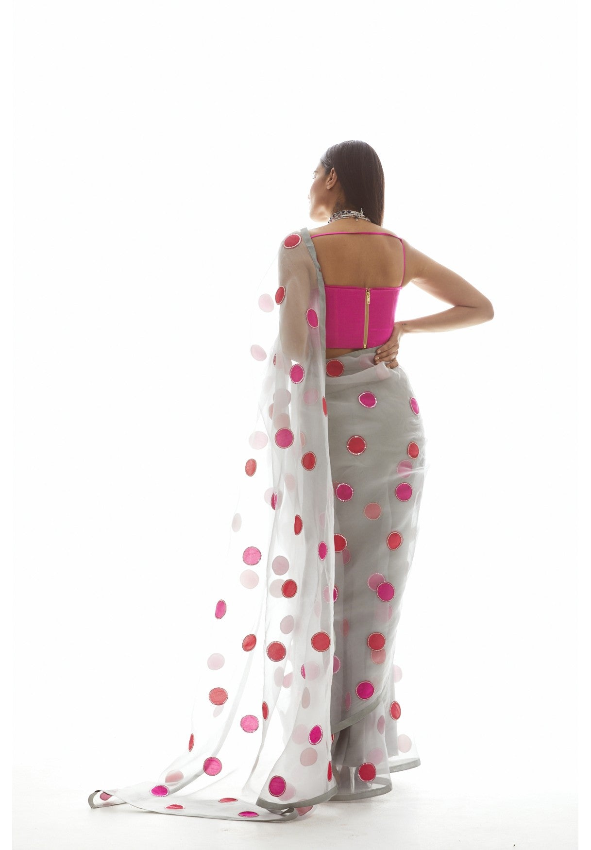 Light Grey Applique Organza Saree Set