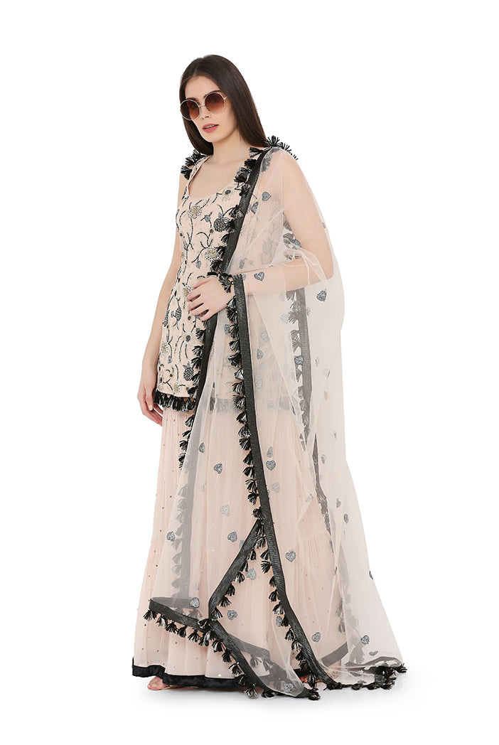 BLUSH KURTA SHARARA SET