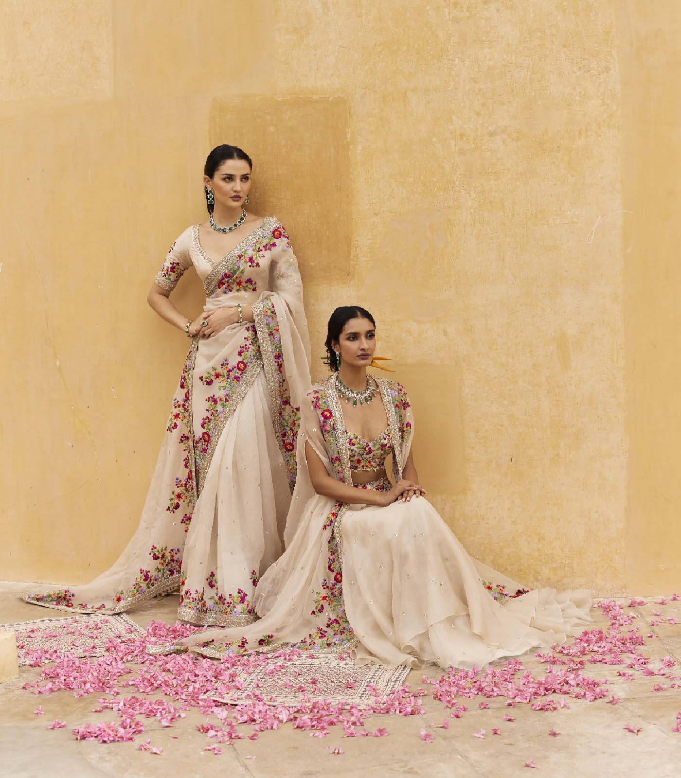 ZARDOZI BORDER SAREE SET