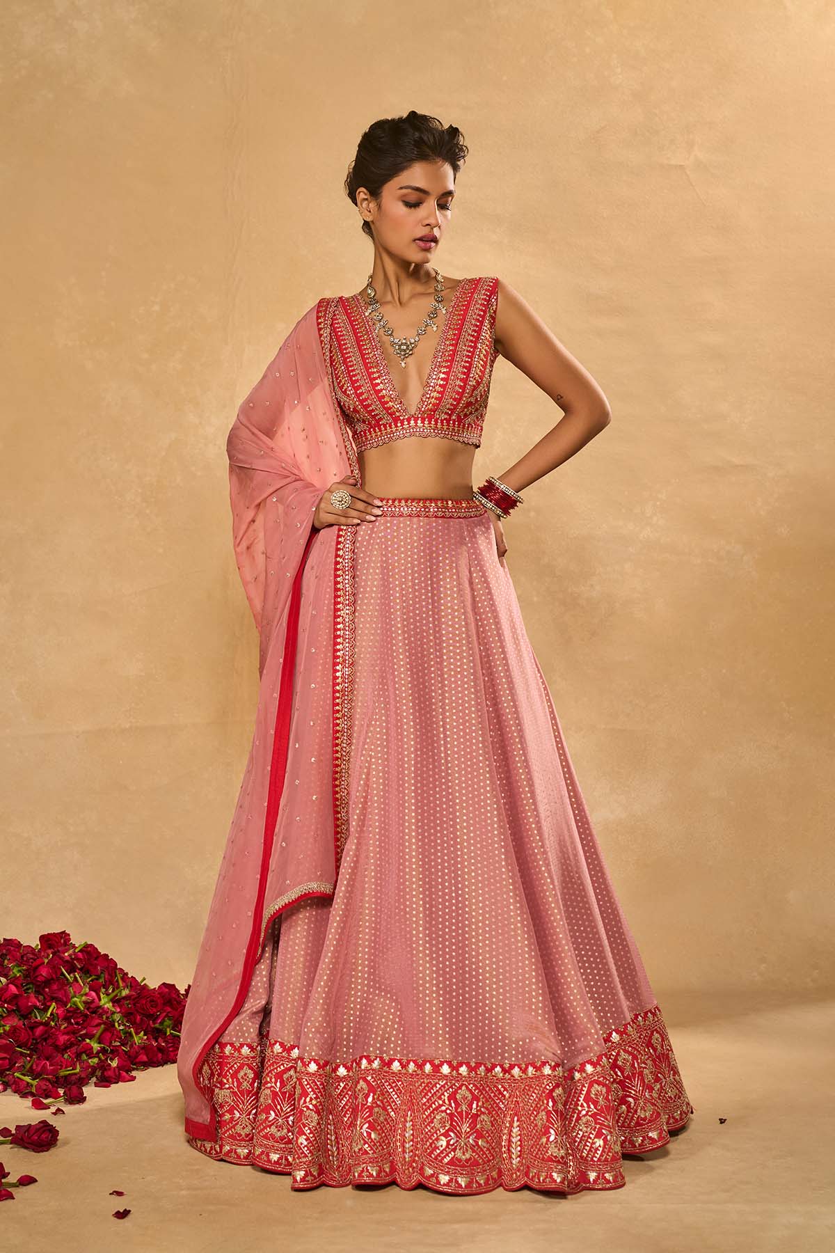 Mina Daman Lehenga