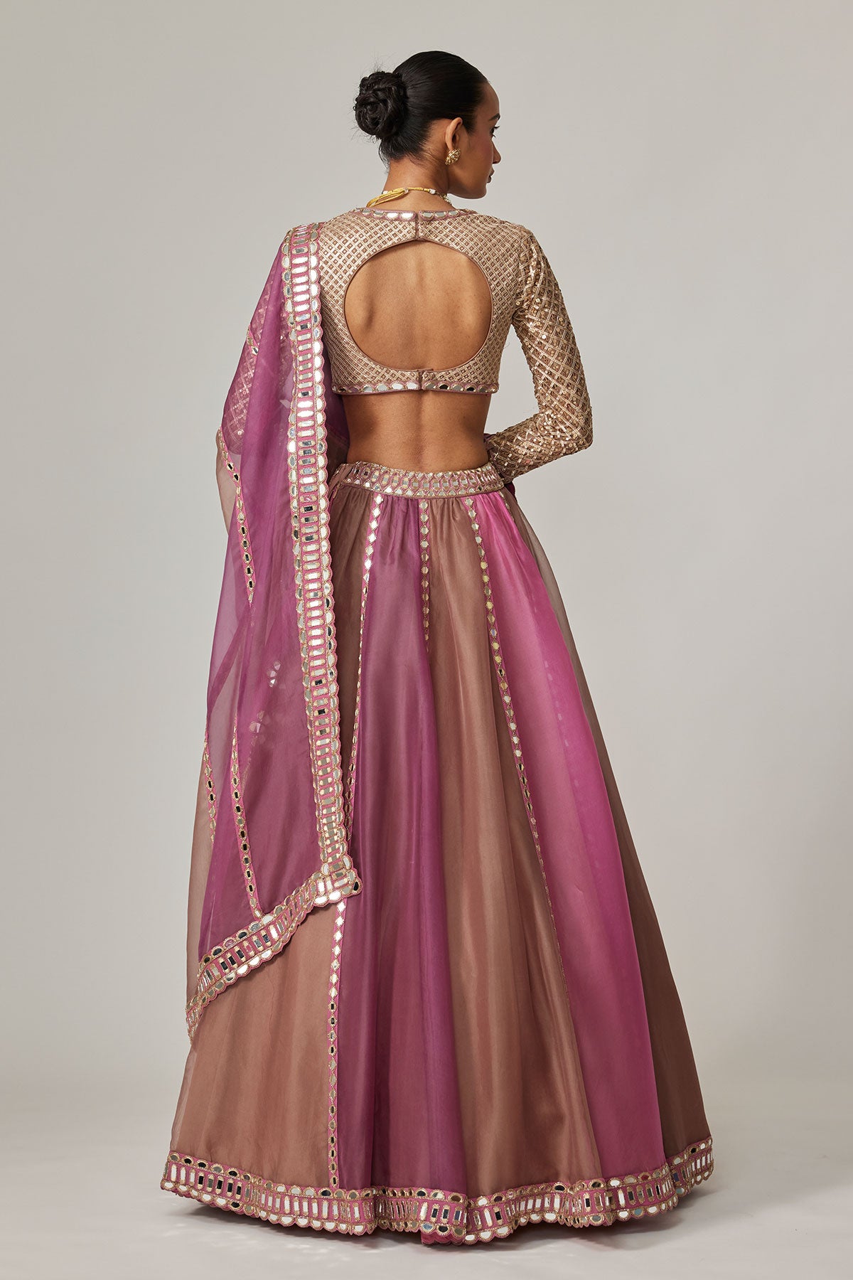 Mud Mauve Multicolor Lehenga With V Neck Blouse