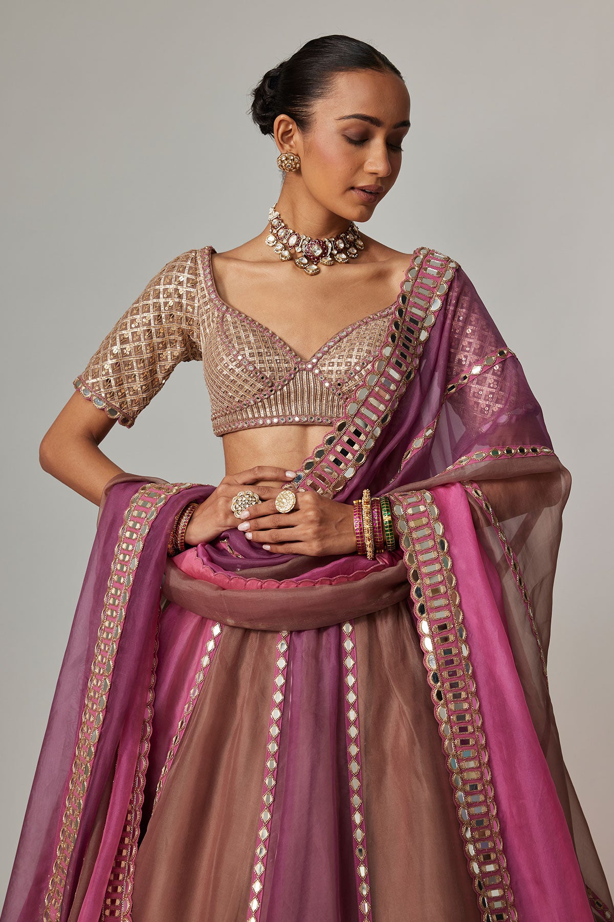 Mud Mauve Multicolor Lehenga With Elbow Sleeve Blouse
