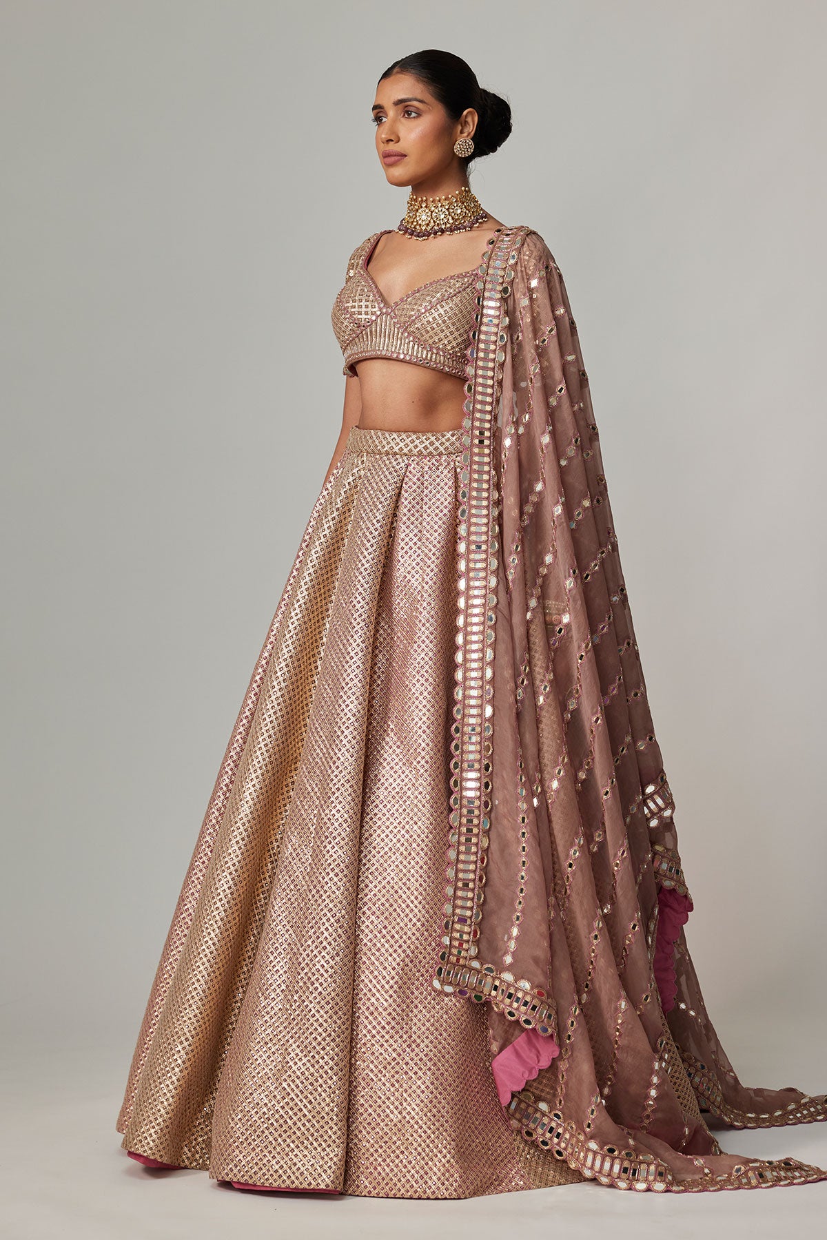 Deep Beige Multicolor Mettalic Lehenga Set