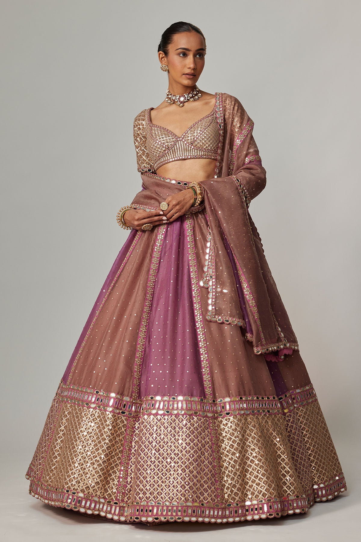 Mud Mauve Multicolor Sequin Scatter Lehenga With Elbow Sleeve Blouse