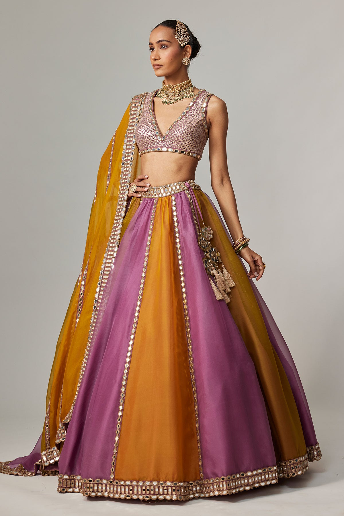 Mustard Multicolor Linear Lehenga With V Neck Blouse