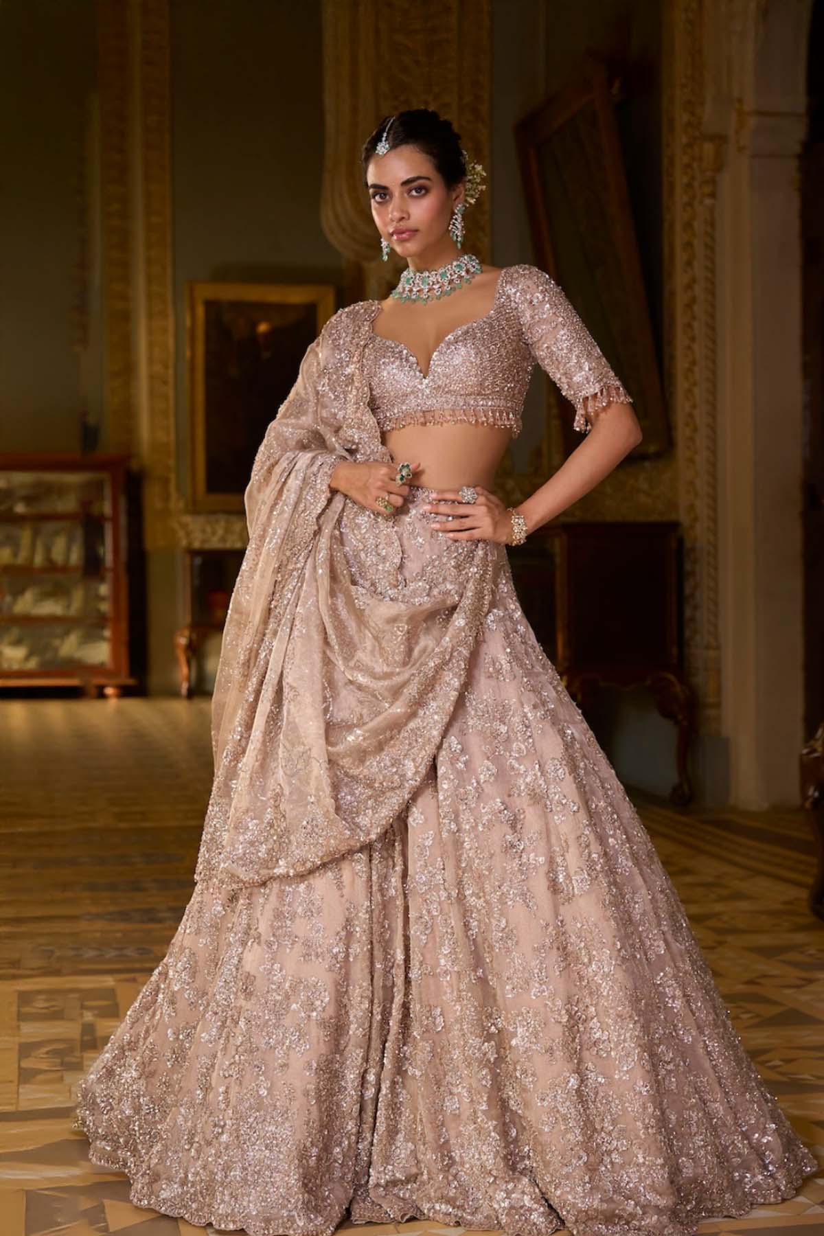 Rose Gold Tissue Lehenga Set