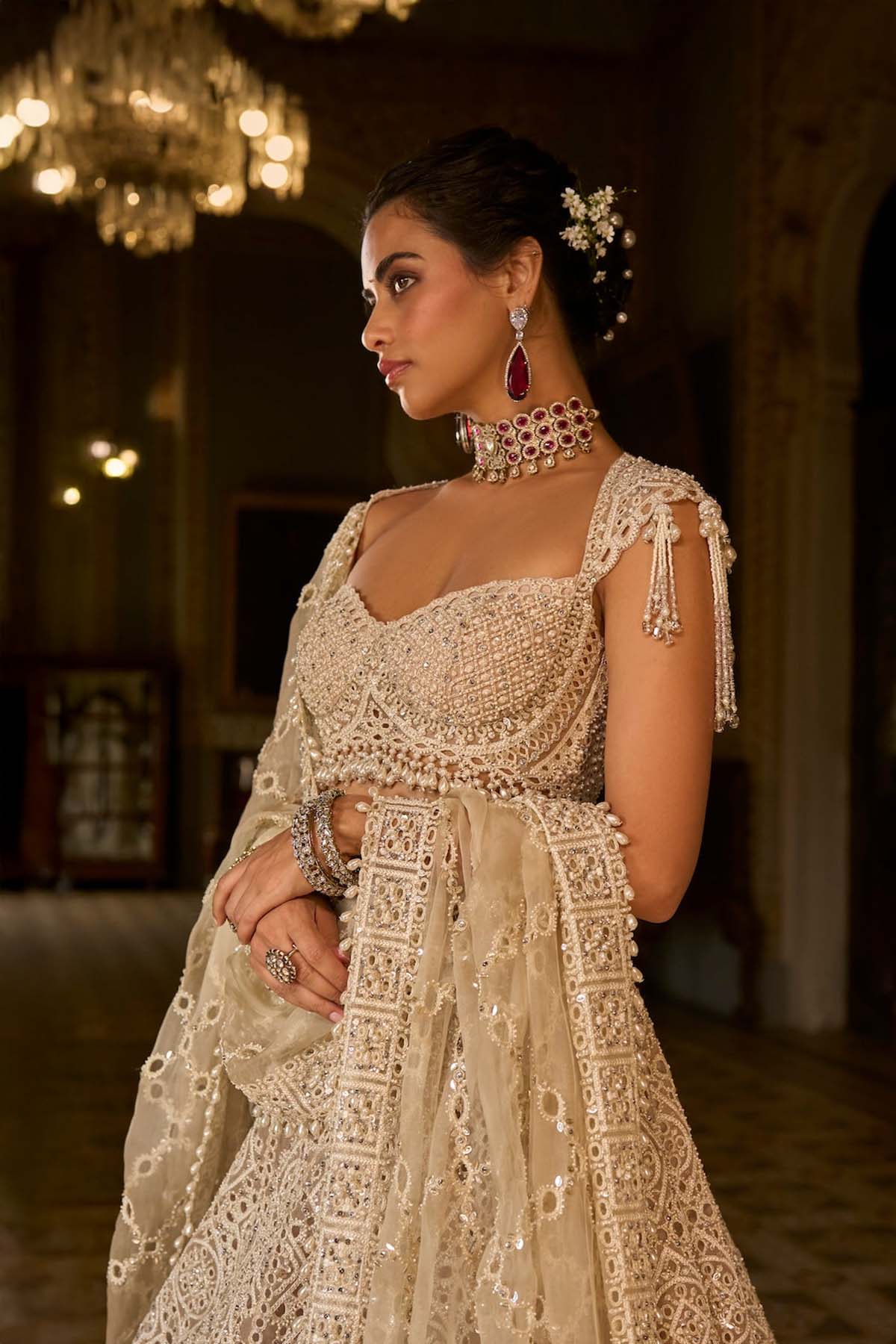 Dark Beige Thread Work Lehenga Set