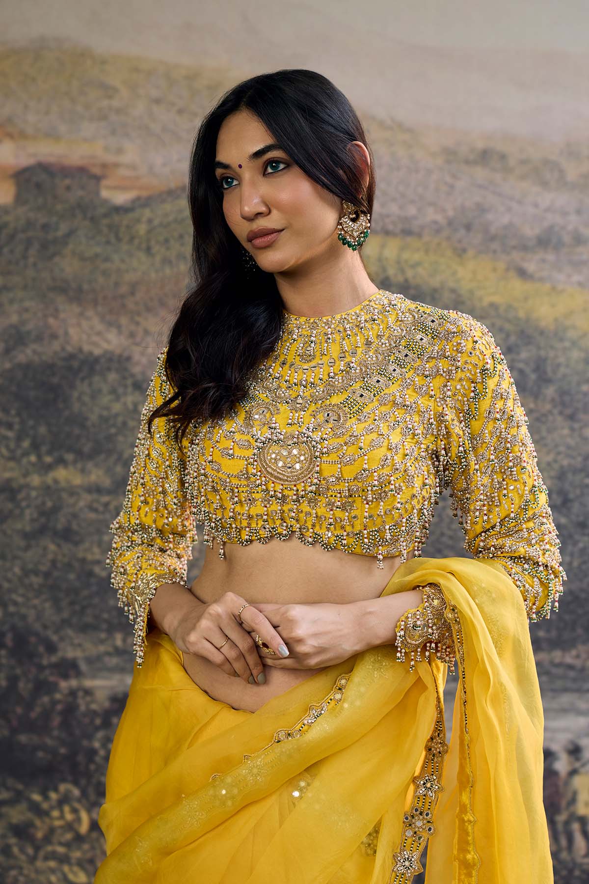 Peela Tara Organza Saree Set