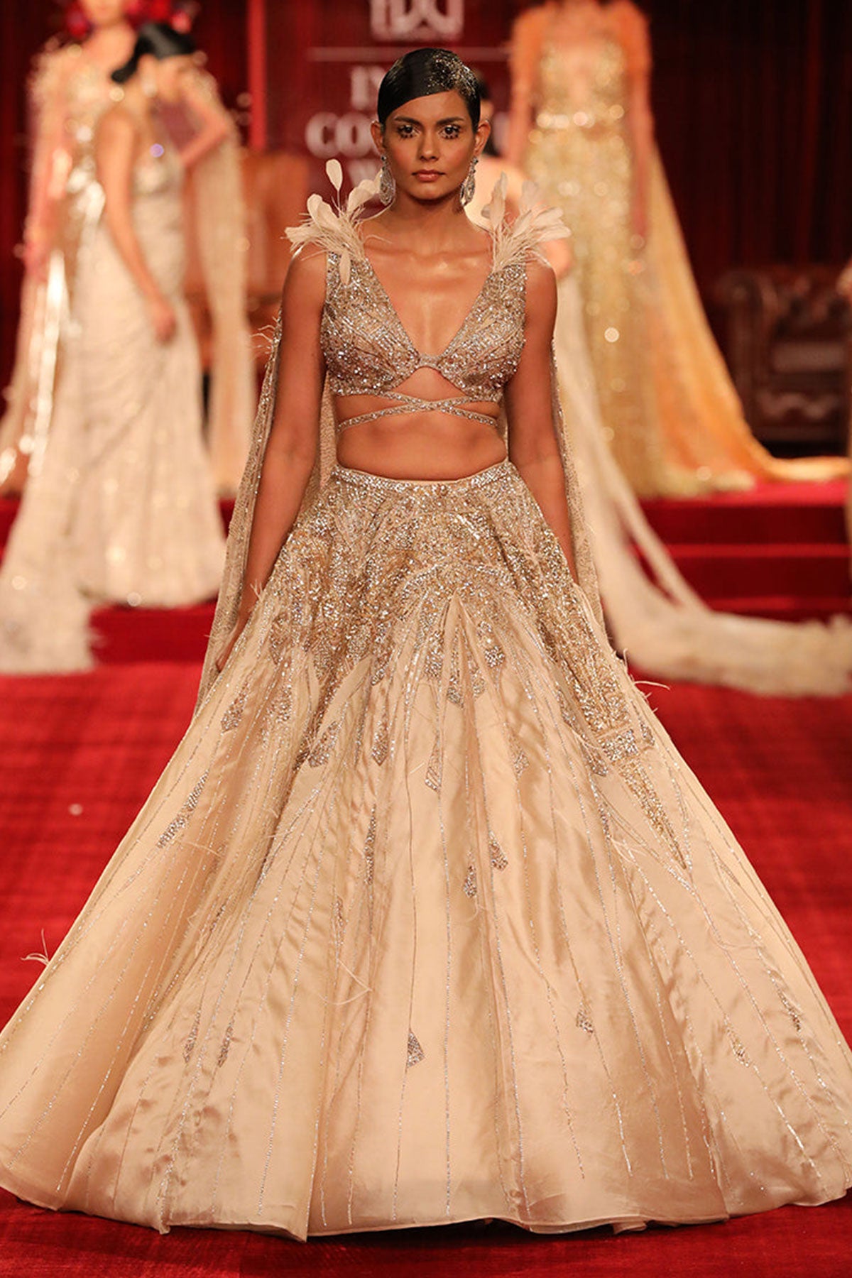 Renne Organza Lehenga Set