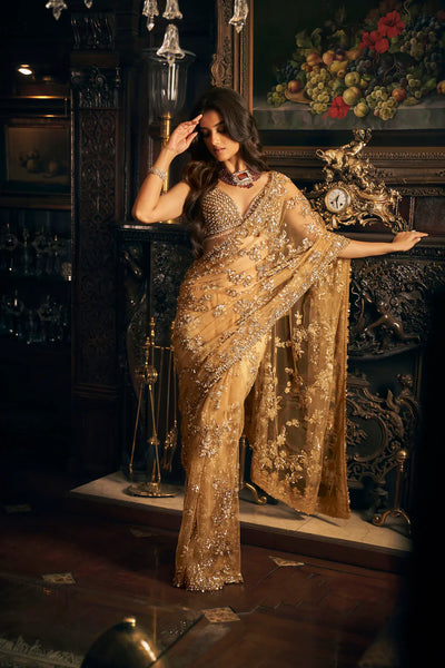 Gold Net Saree- Ready to Ship