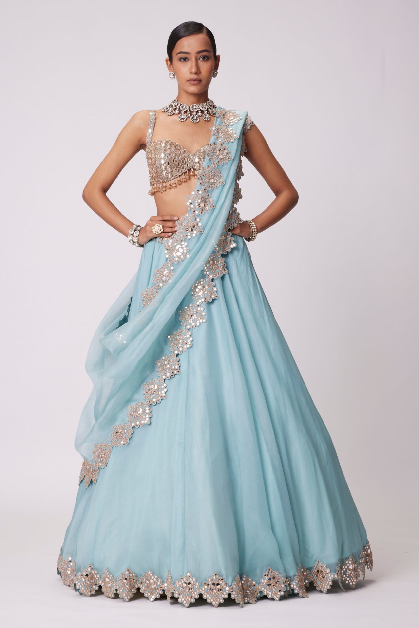 Powder Blue Organza hand Embroidered Lehenga Set