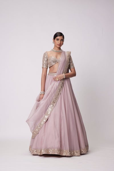 Ash Pink flower Border Organza Lehenga Set- Ready to ship