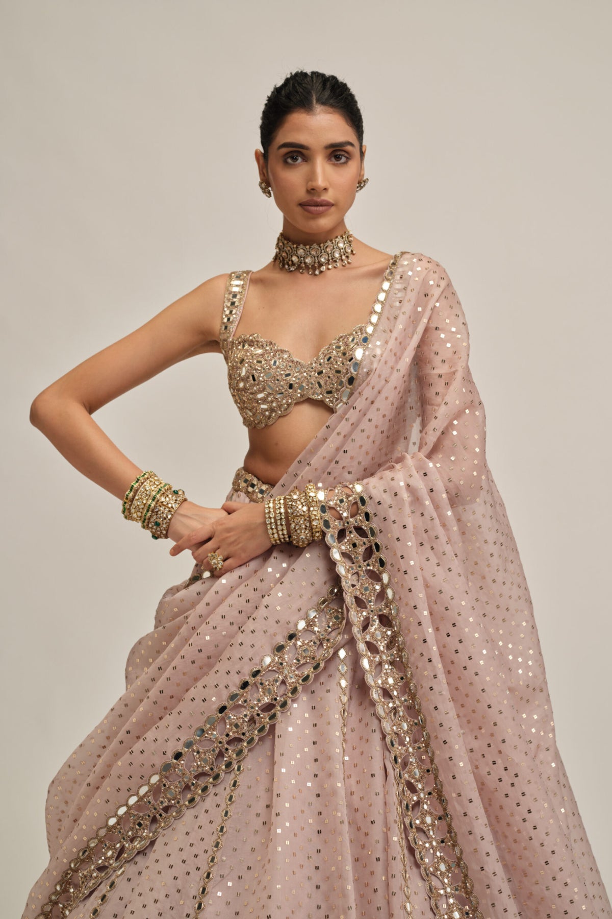 Ash Pink Linear Mirror Sequins Embroidered Lehenga Set