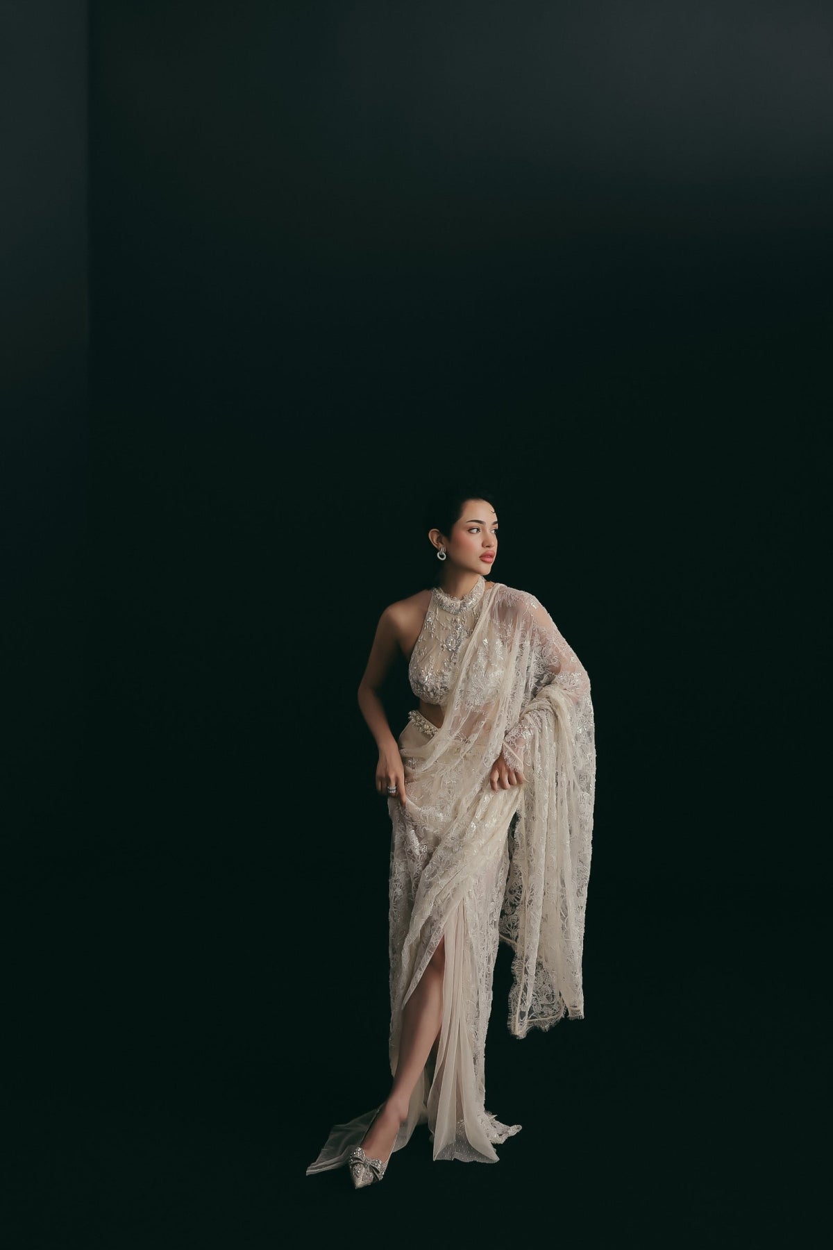 Icing on the Lace Draped Sari