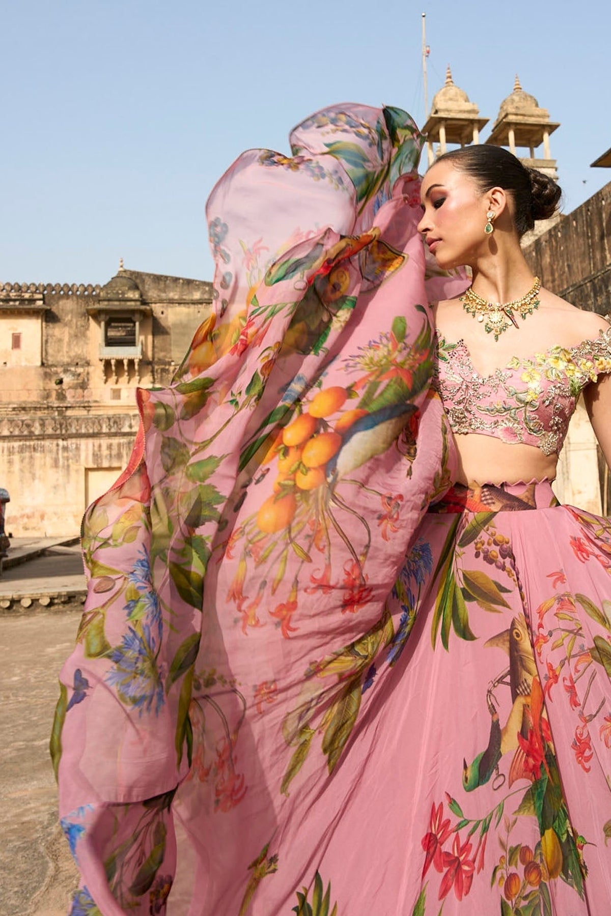 Janhvi Applique Skirt Set
