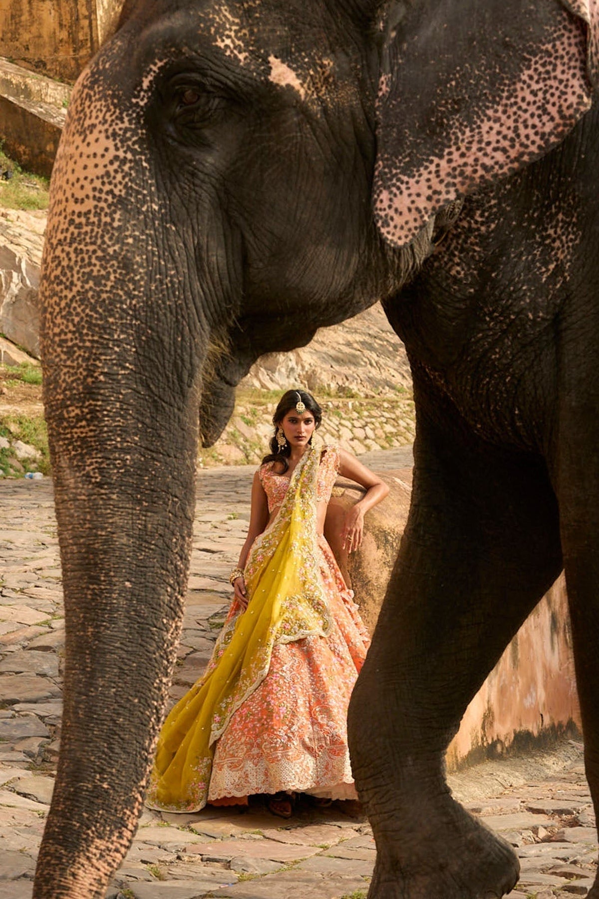 Kamya Lehenga Set