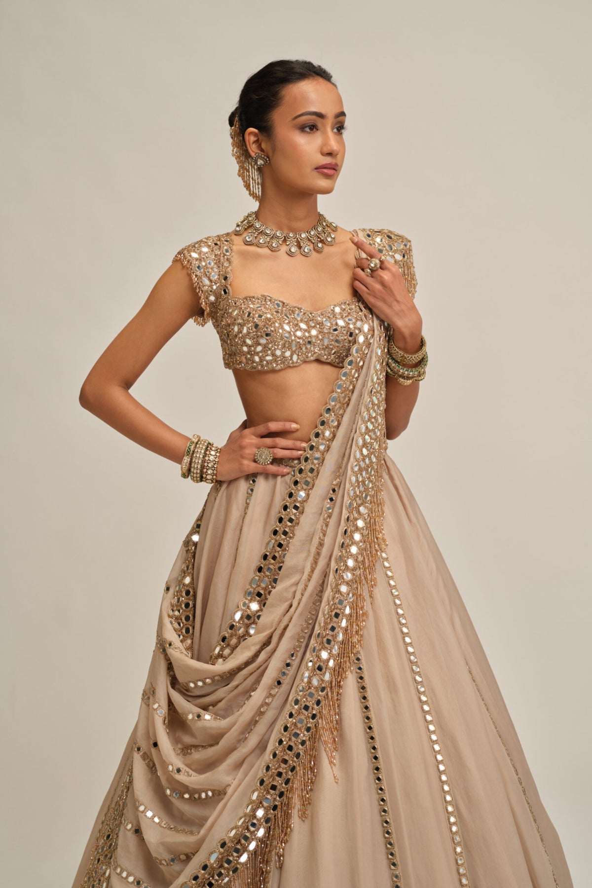 Light Beige Mirror Linear Embroiderd Lehenga Set