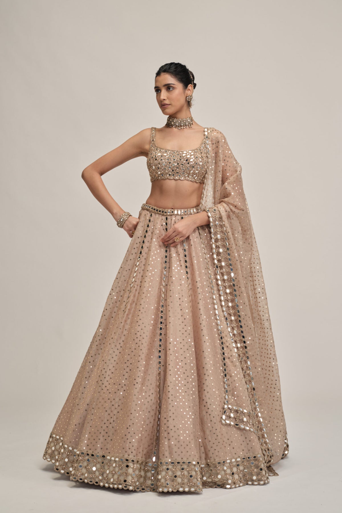 Light Beige Sequins Embroidered Lehenga Set