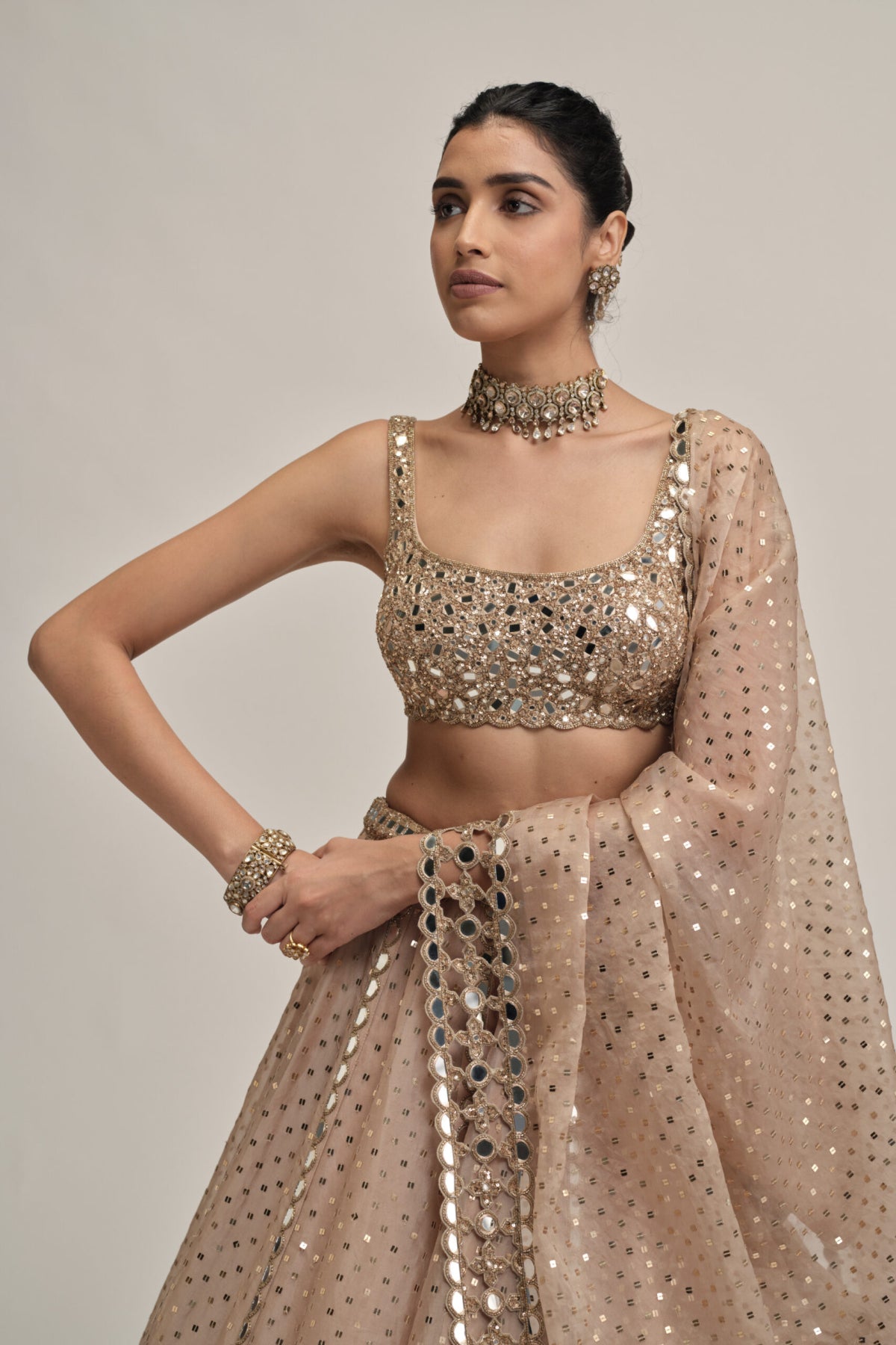 Light Beige Sequins Embroidered Lehenga Set