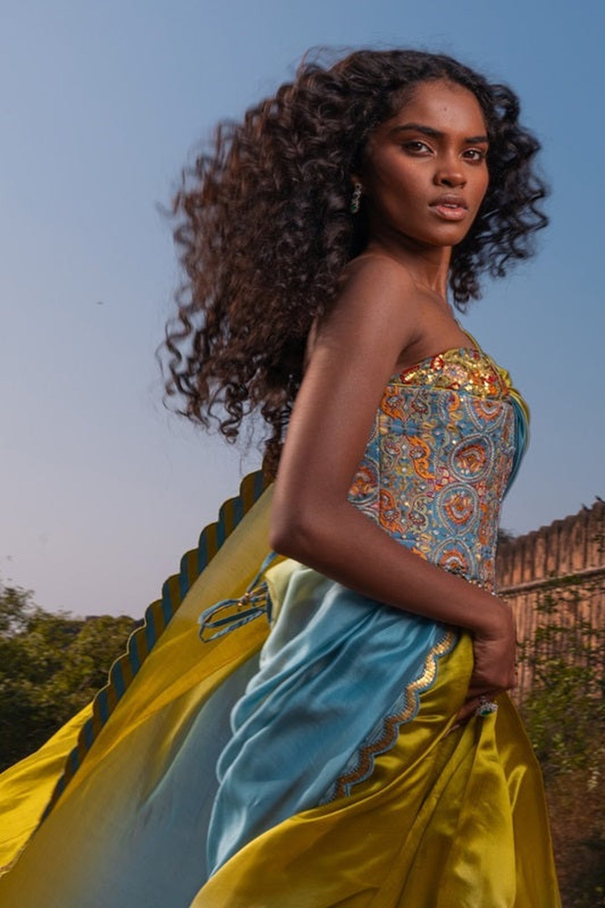 The Corset Saree