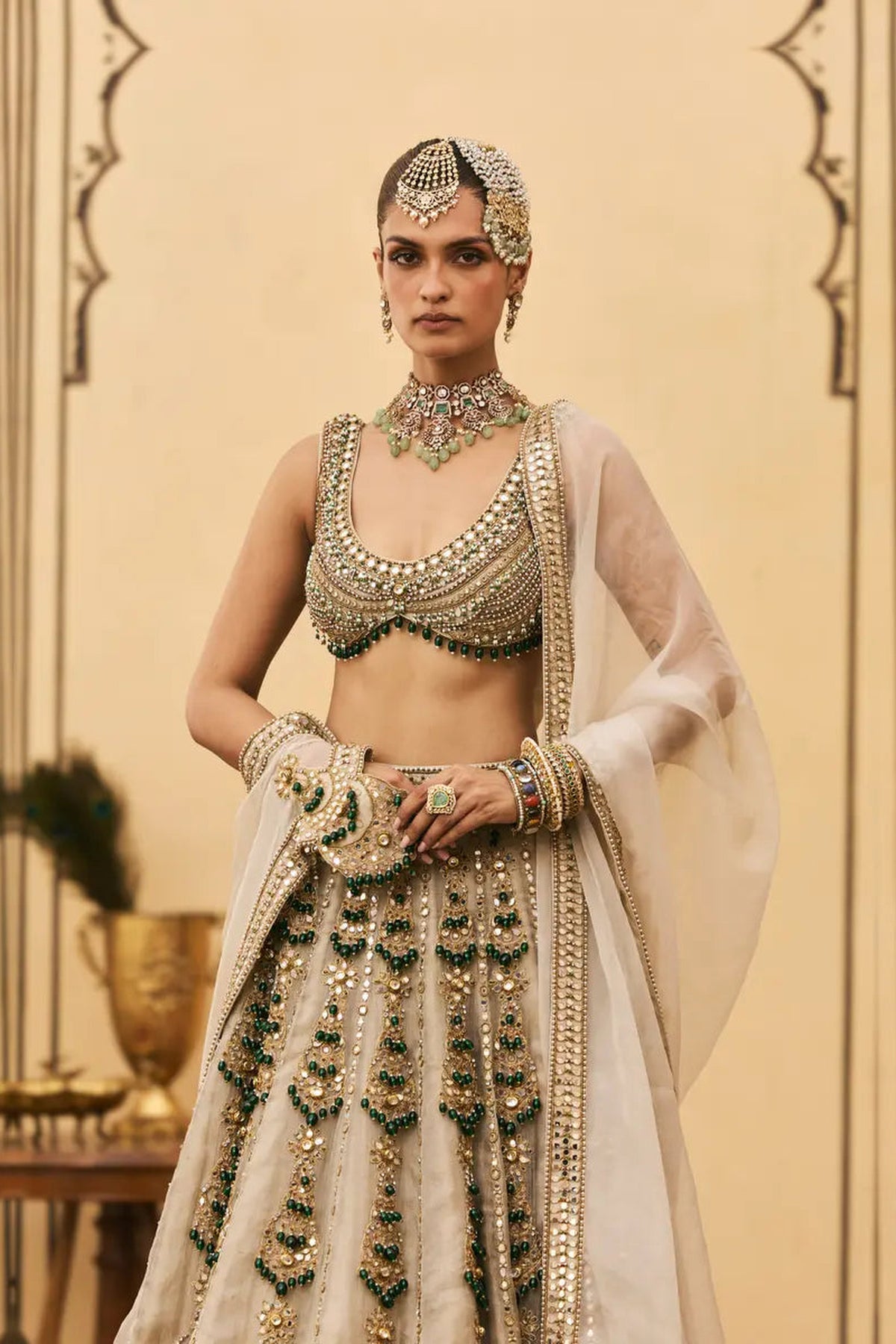 Rajat Paasa Tissue Lehenga Set