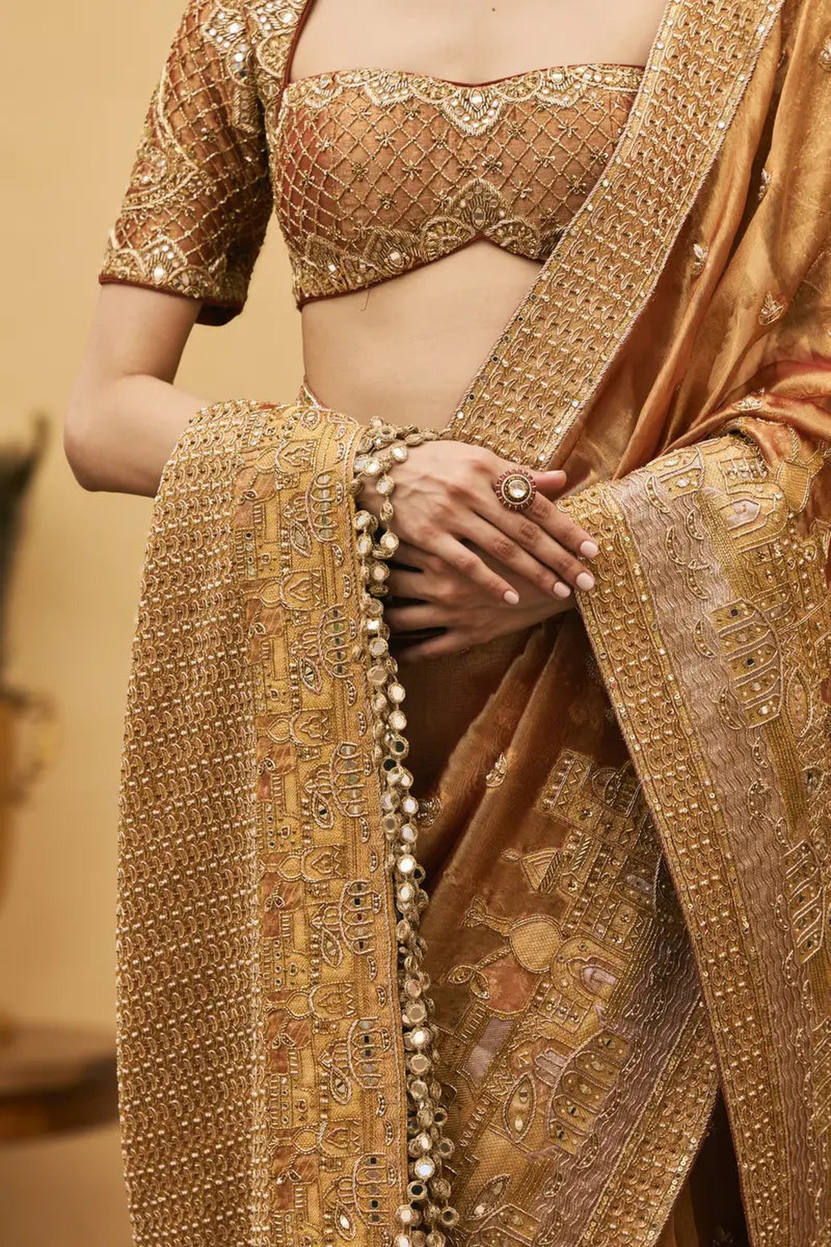 Tamra Tissue Saree Set