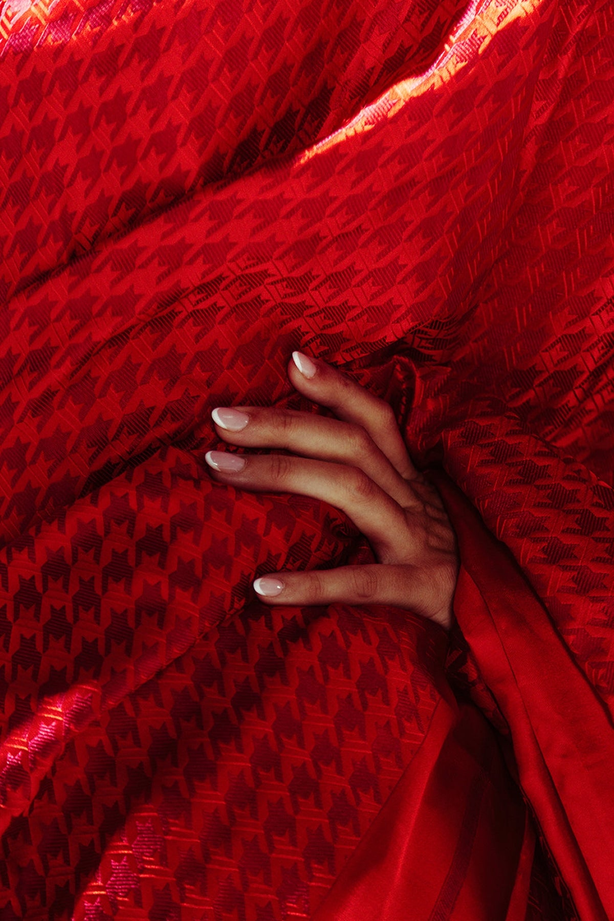The Red Snapper Saree