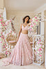Blush Pink Sequin Lehenga Set